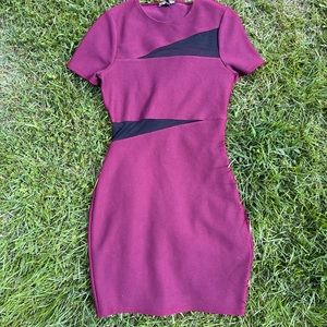 EXPRESS dress